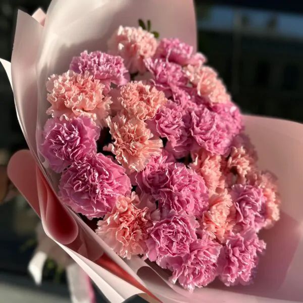 Монобукет из 25 сортовых диантусов в нежном оформлении!