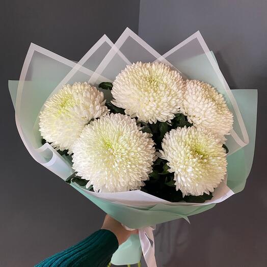 Белые хризантемы