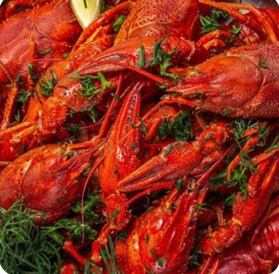 Раки-Маляки S в ведре