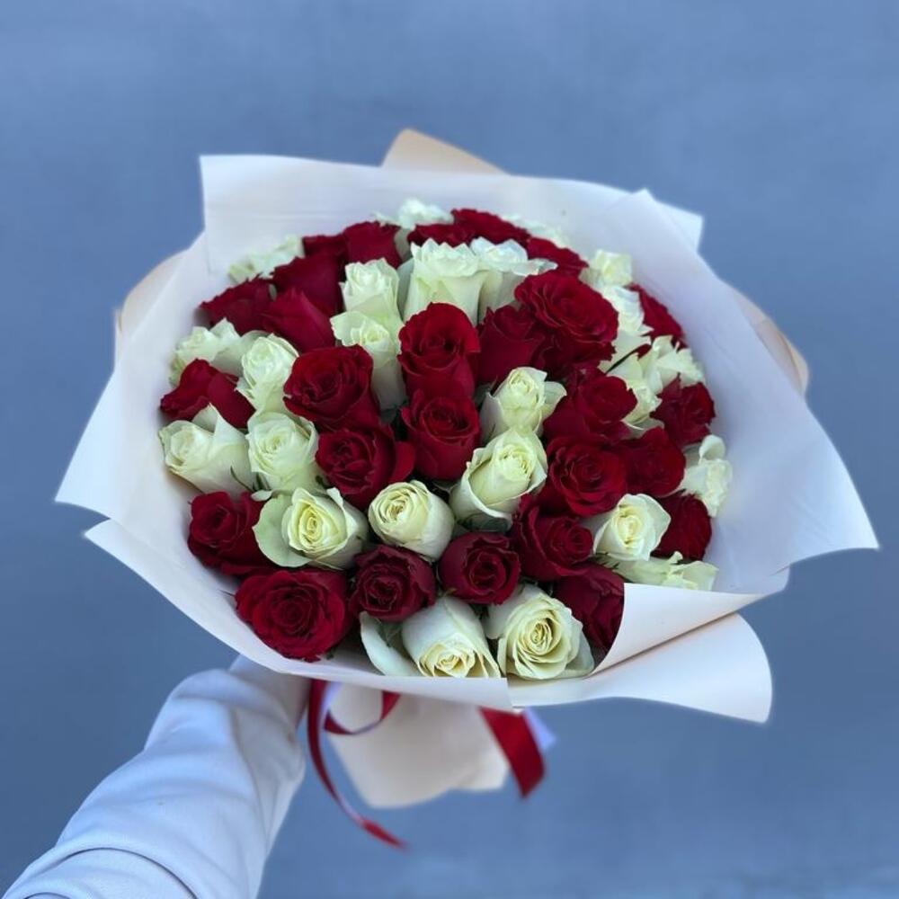 51 красно-белая роза