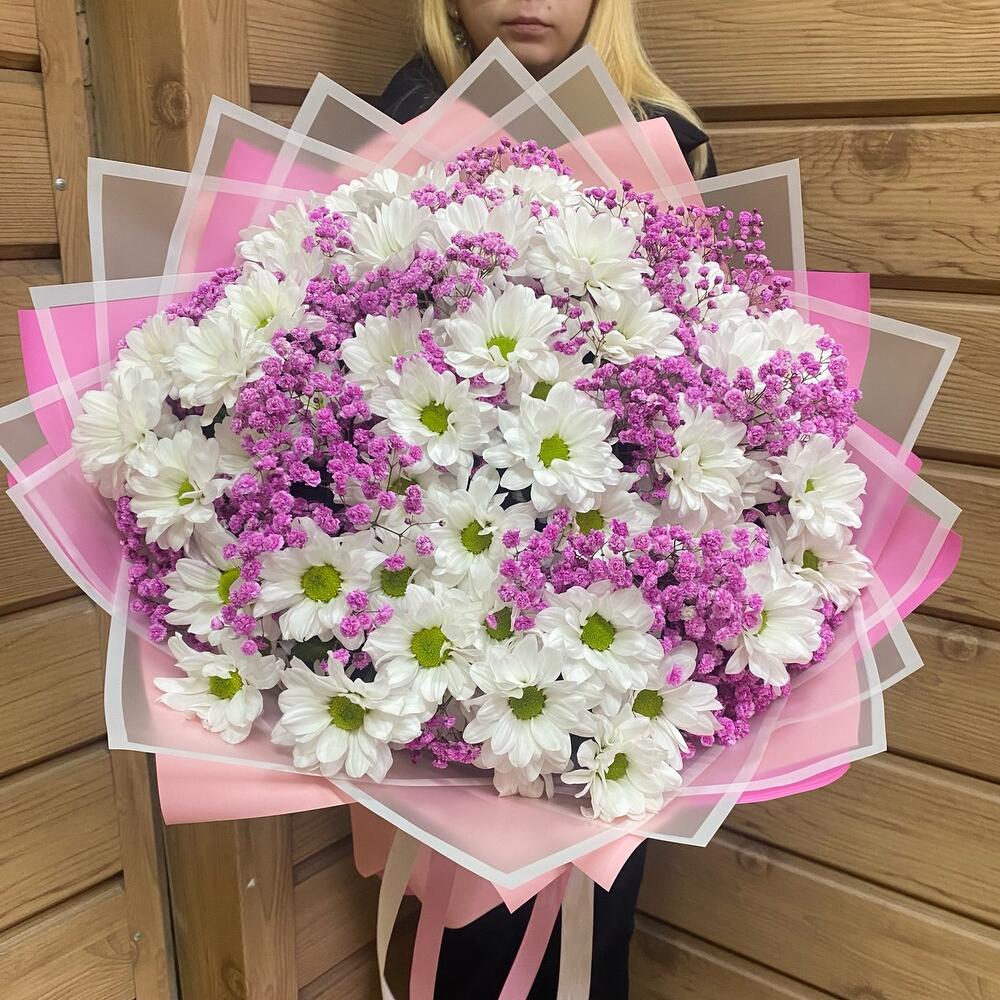 Ромашковая хризантема с розовой гипсофилой