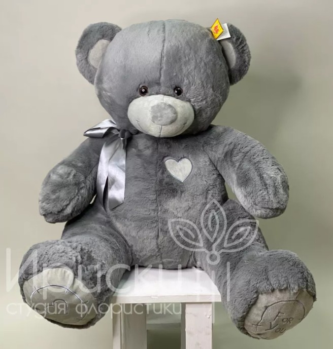 Большой серый медведь