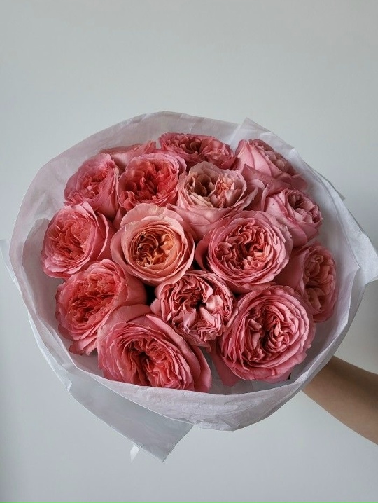 Без права на ошибку