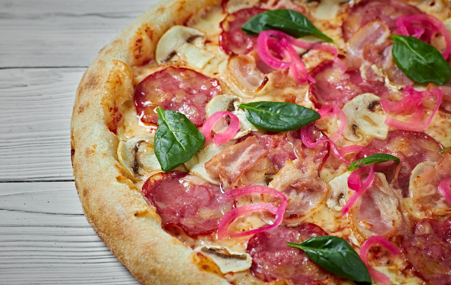 Монсерат 23 см