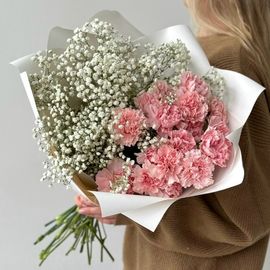 Дуо-букет гипсофила с диантусами L