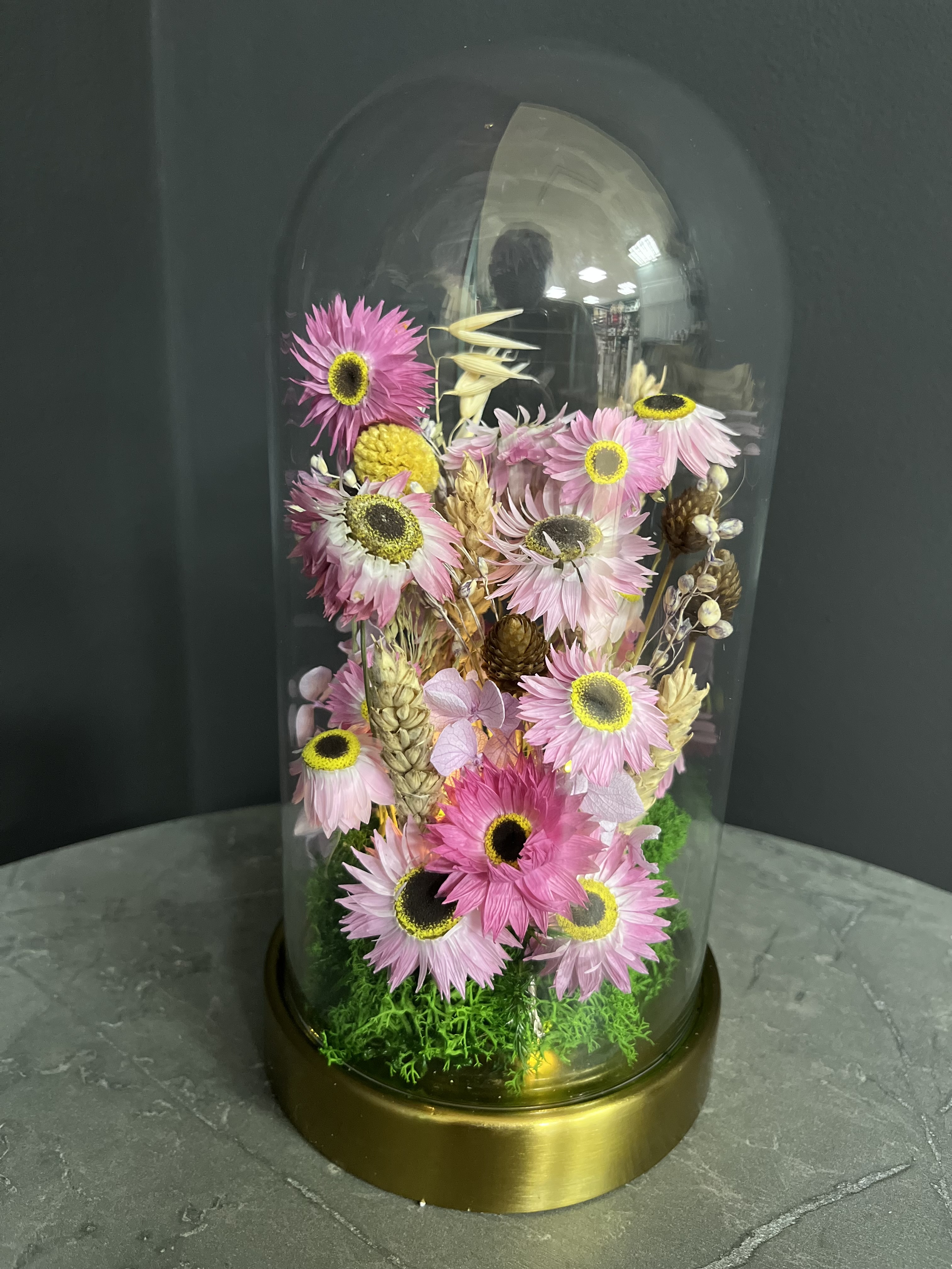 Сухоцветы в стеклянном клоше гелиптерум