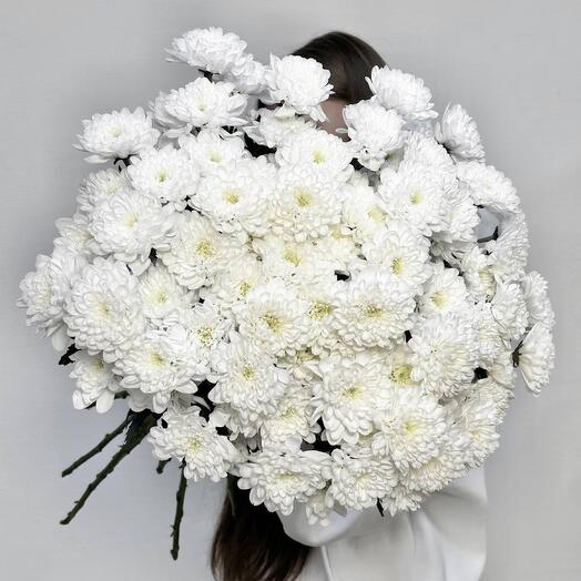 Букет из кустовых хризантем под ленту