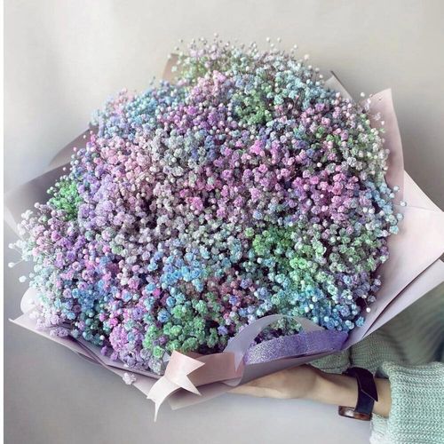 15 радужных гипсофил в дизайн упаковке