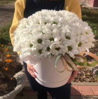 Струны души