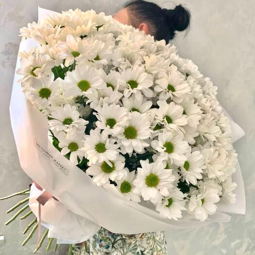 Охапка Кустовых Ромашек L (17шт)
