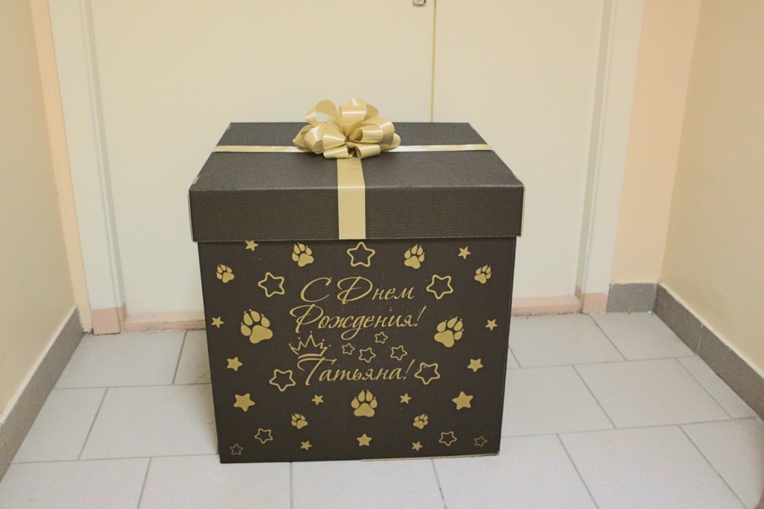 Коробка-сюрприз для кинолога