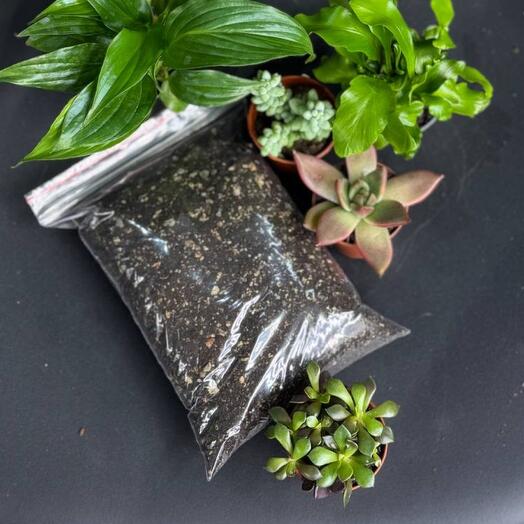Грунт для суккулентов и кактусов, 1 л