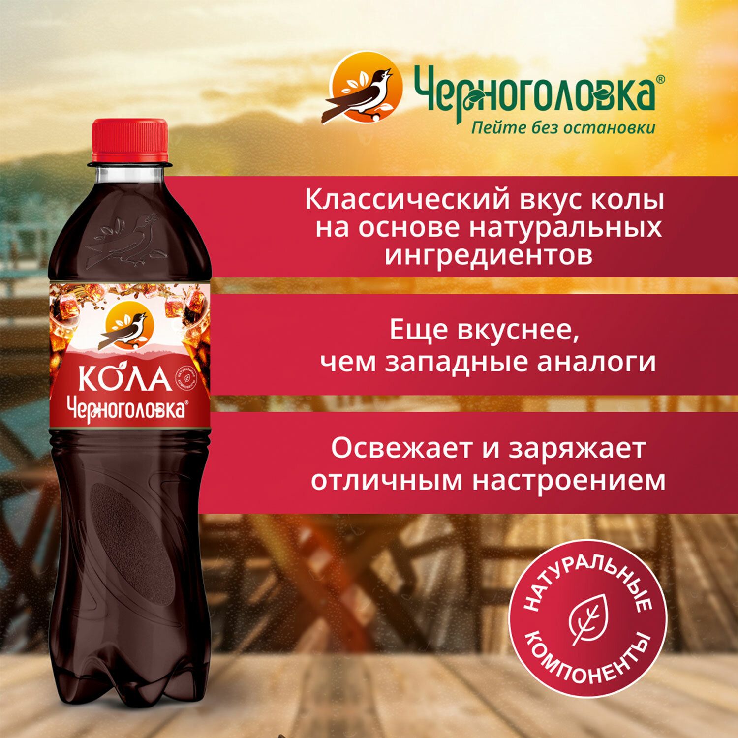 Кола Черноголовка