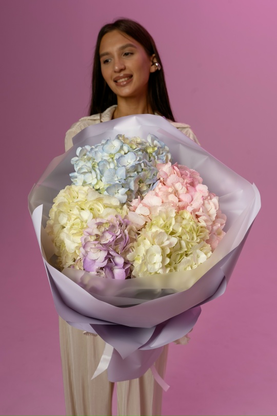 Мафины на облаке