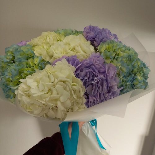 Большой букет гортензий