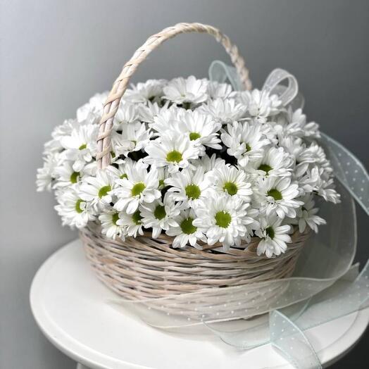 Композиция «Аура» из ромашковыдных хризантем