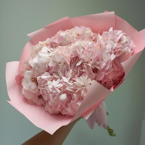 Букет нежных розовых гортензий