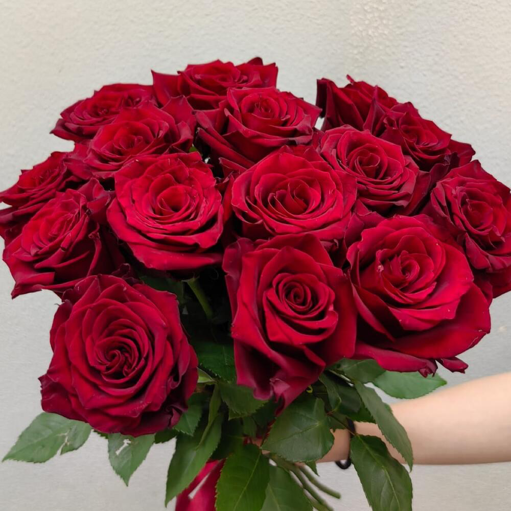Монобукет из 15 красных эквадорских роз для мамы (код 42)