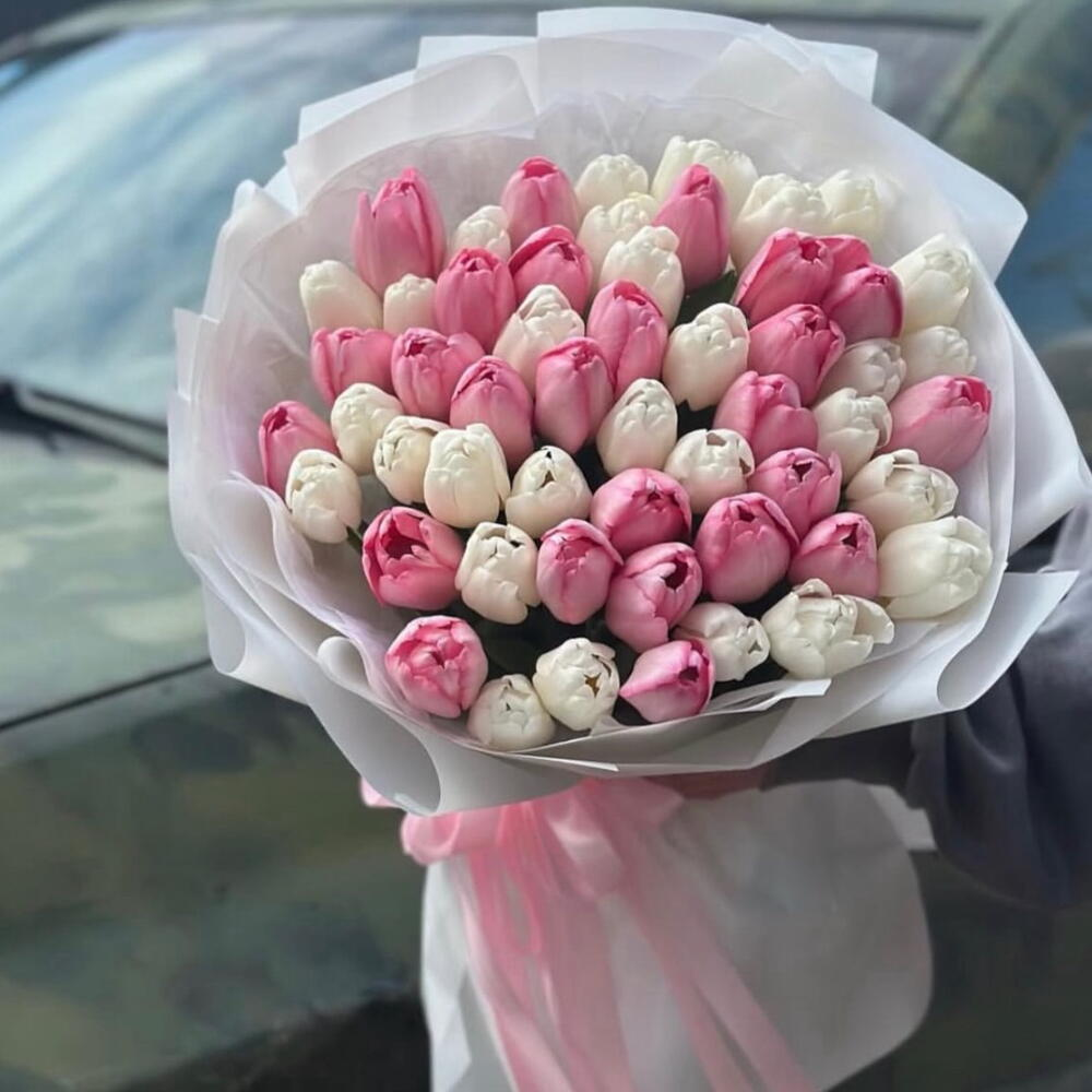 51 тюльпан розовый