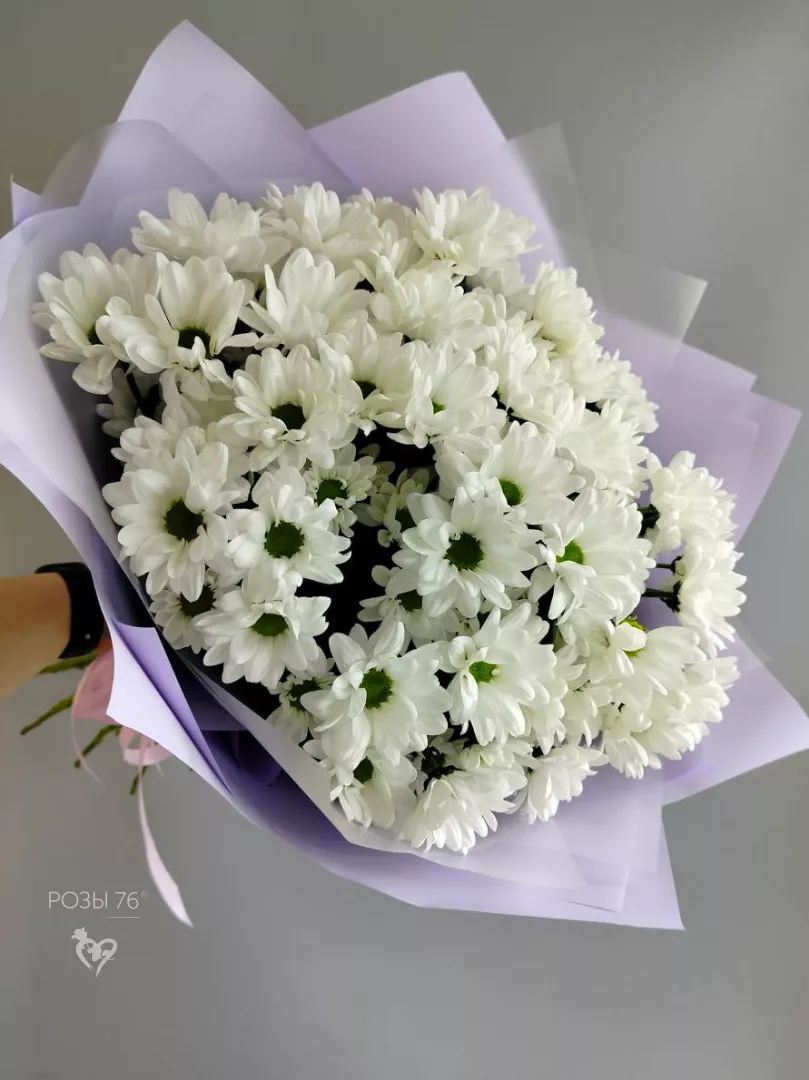 Ромашковый мир