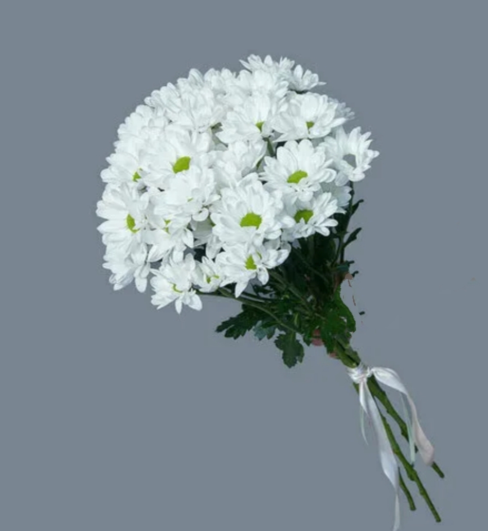 "Милая ромашка"