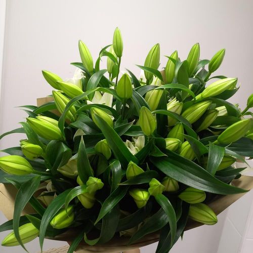 Огромный букет белых лилий