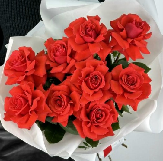 Букет из 9 алых французских роз