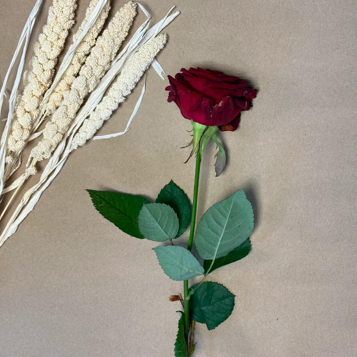 Роза ред наоми