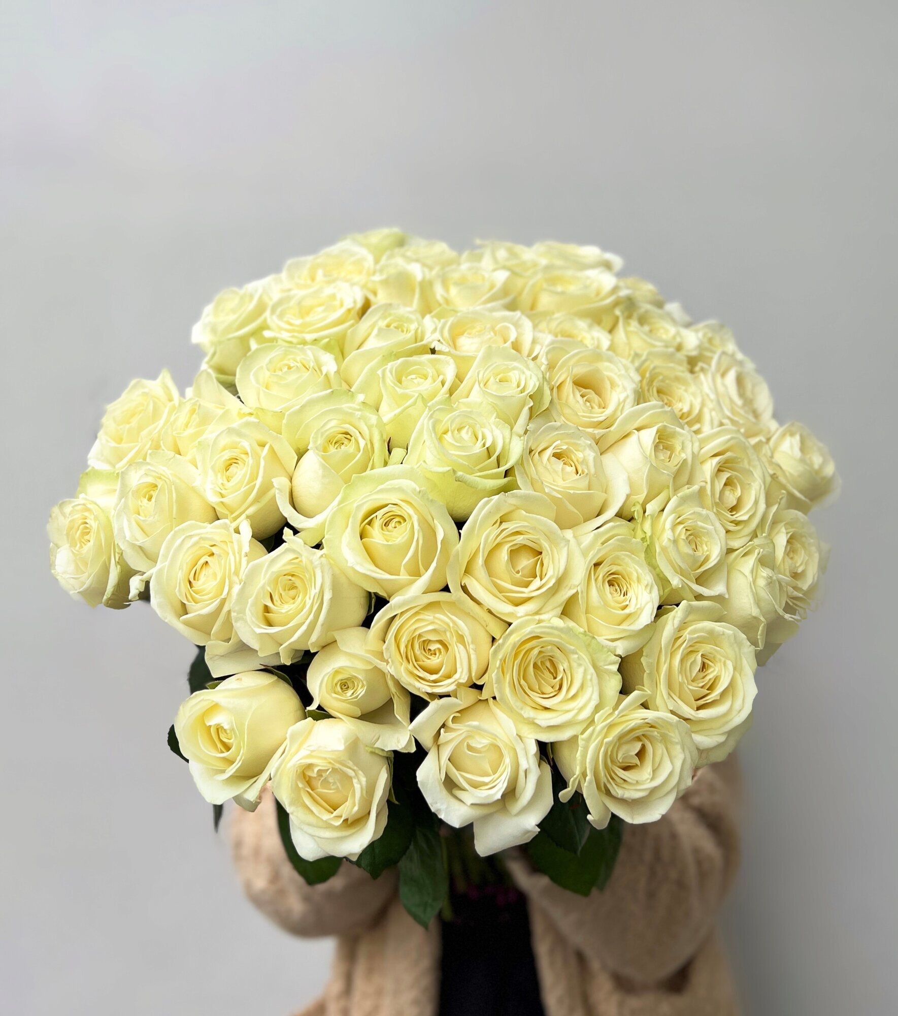 Букет из 51 белой розы 50 см