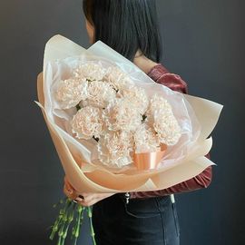 11 кремовых диантусов