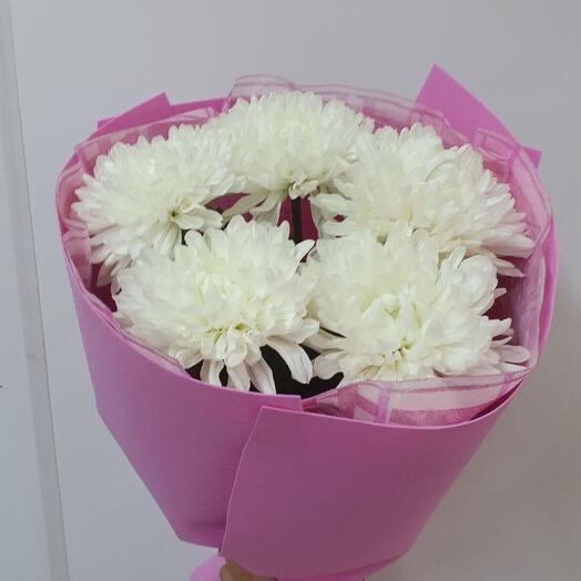 Хризантемы Антошка