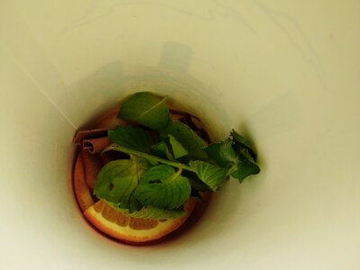 Напиток авторский цитрусовый