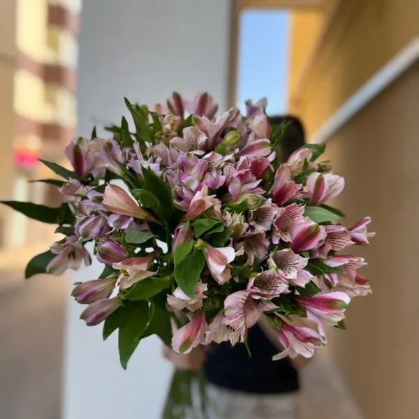 Букет из 15 альстромерий на ленте!