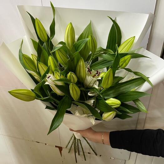 Лилия белоснежный