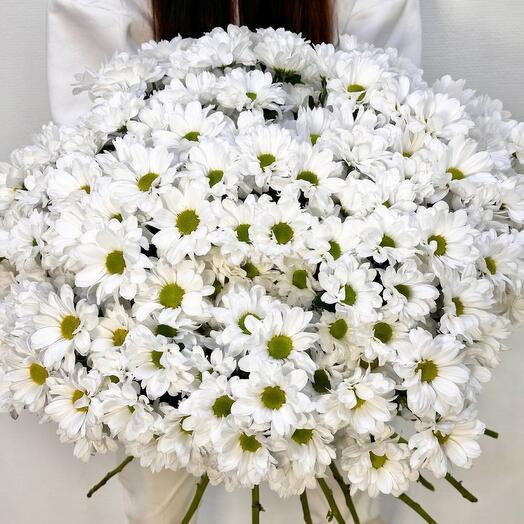 Букет-гигант + секатор в подарок из 25 ромашков.хризантем