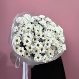 Кустовая хризантема ромашка