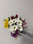 Букет из 1 кустовой хризантемы и 4 альстромерий микс