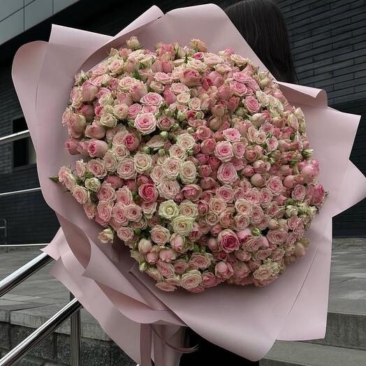 Кустовая Роза 101 огромный букет