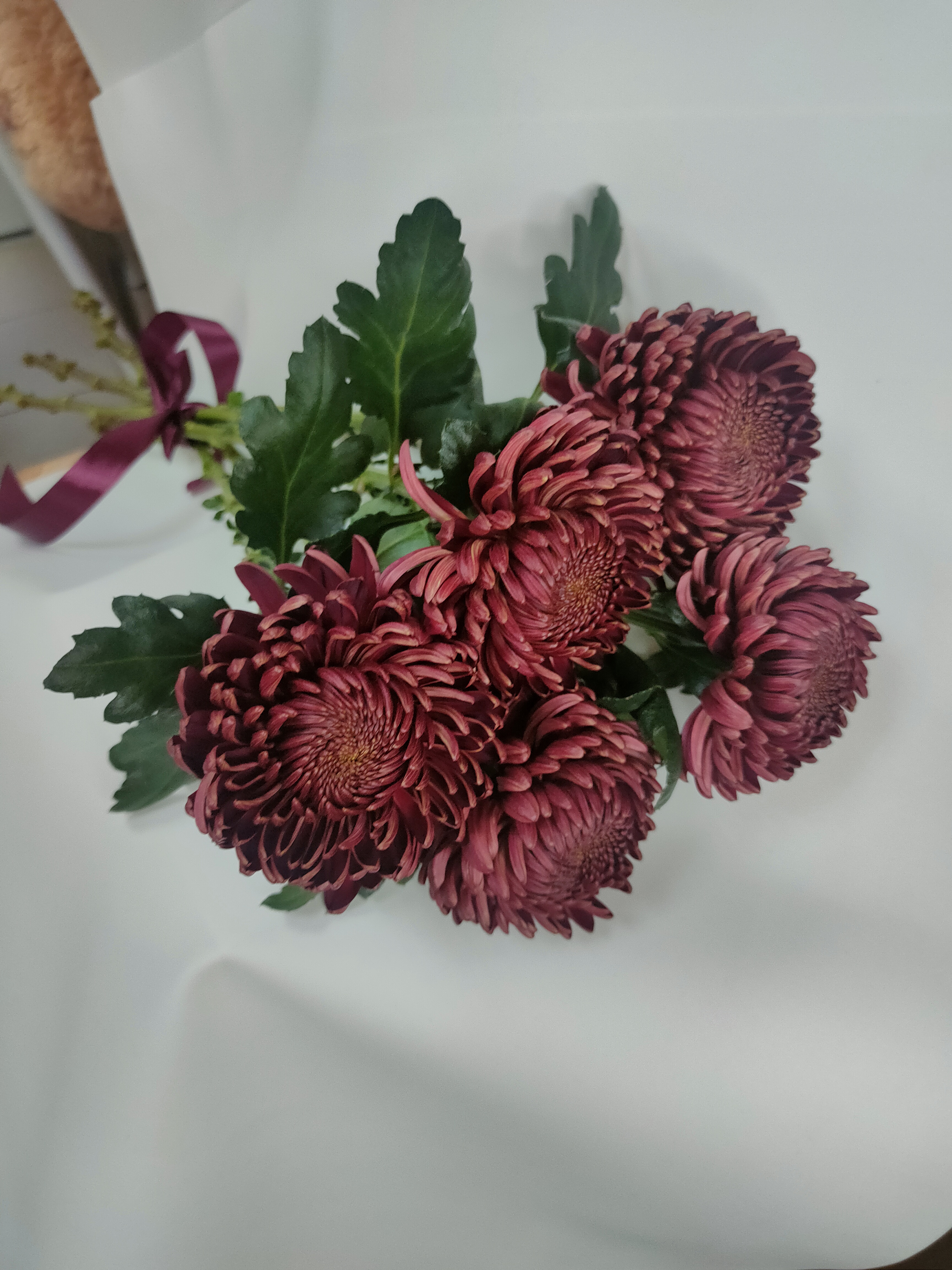 "Магическая красота"