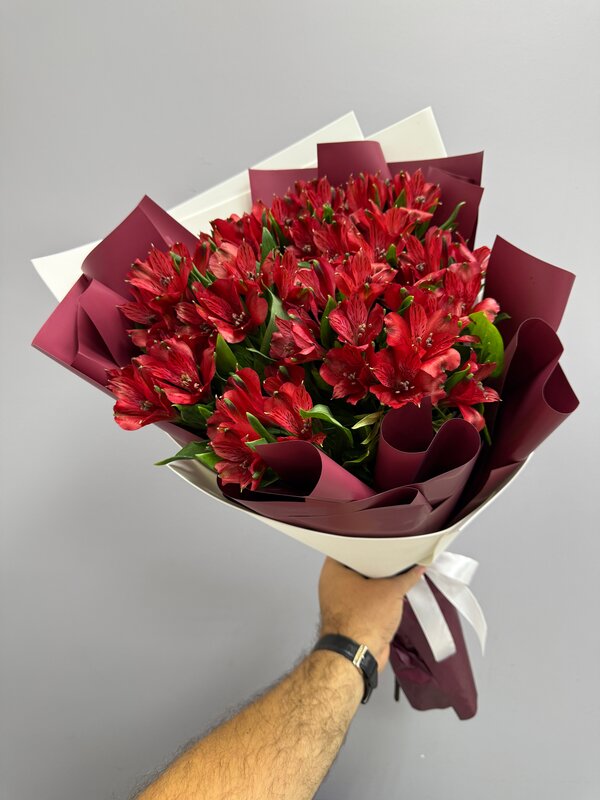 Букет из 11 красных альстромерий в корейской пленке