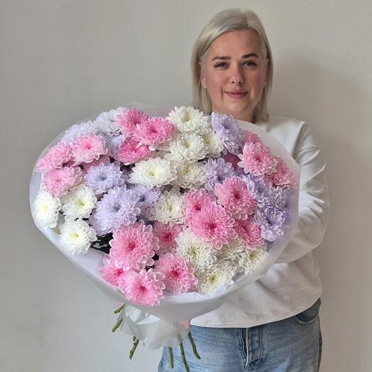 Разноцветные хризантемы 