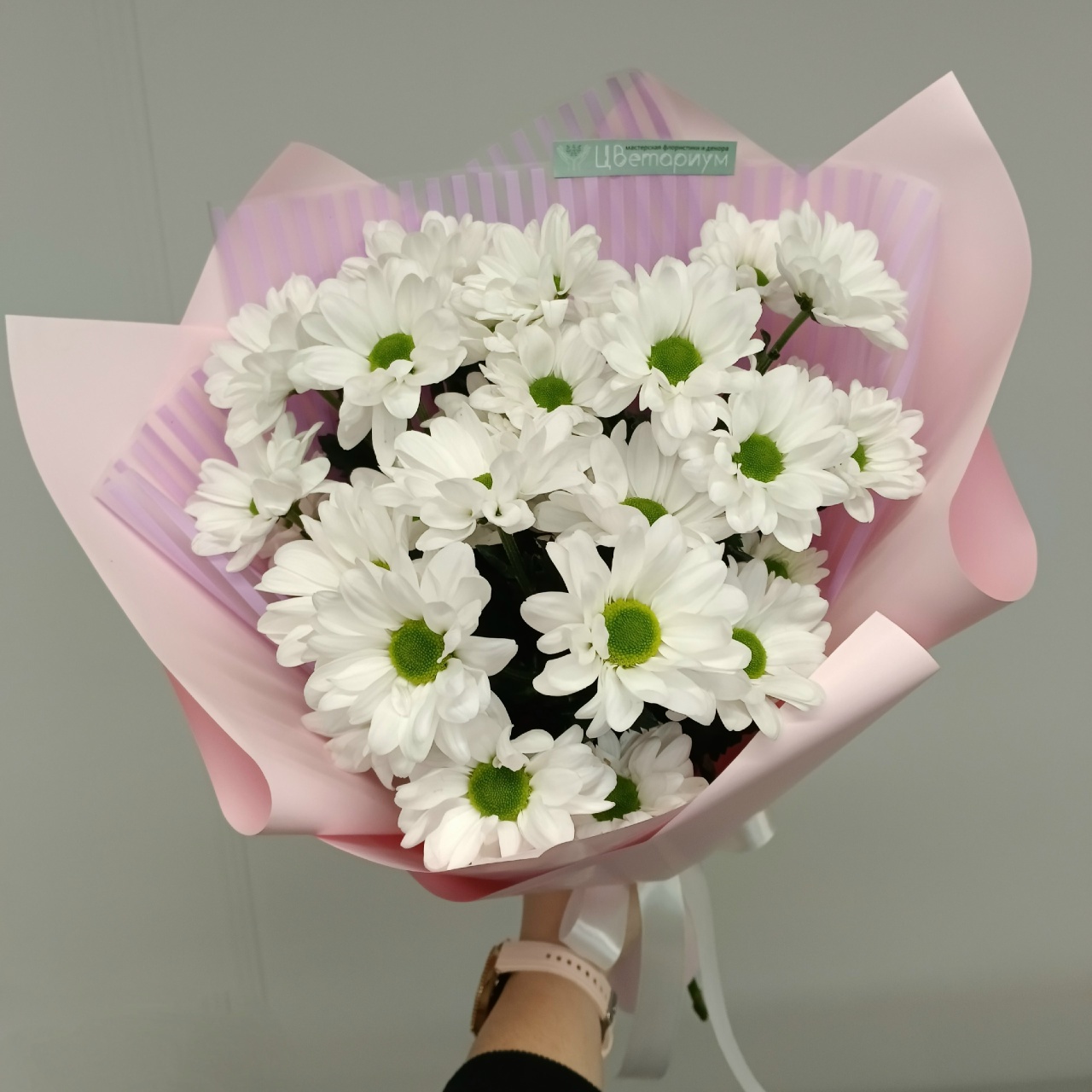 Хризантемы ромашки 3 шт