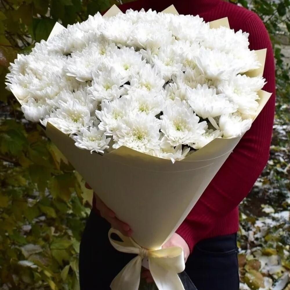 Хризантема