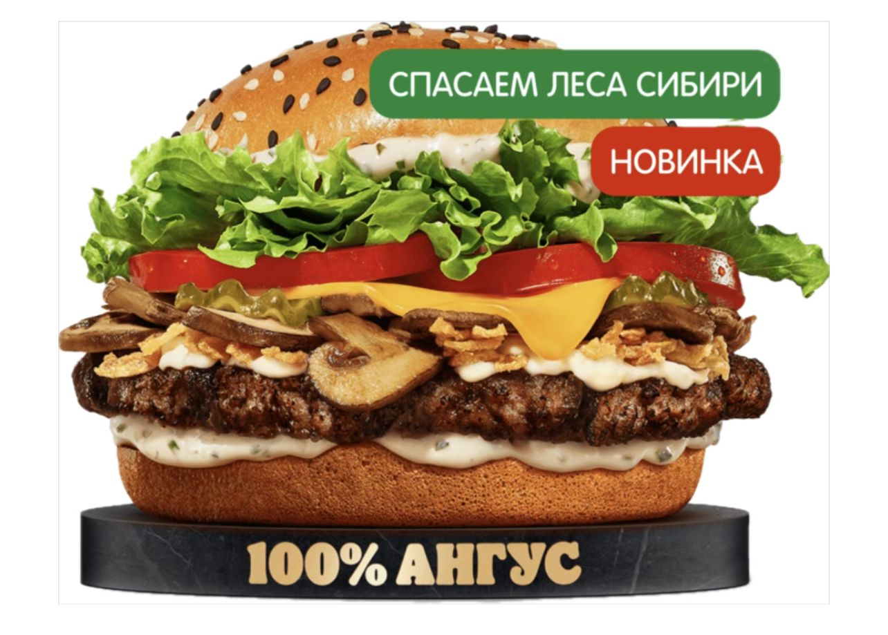 Ангус Сибирский