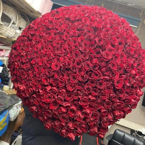 501 роза Эквадора