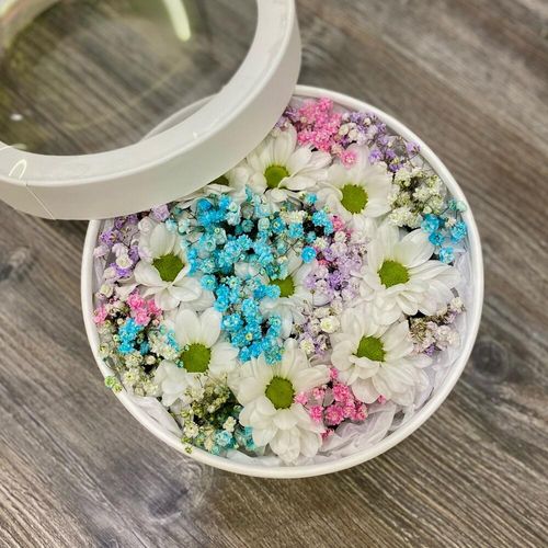 Ромашки с гипсофилой в коробке (к1840)