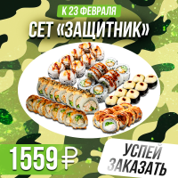 Сет Защитник 48 шт 1499г