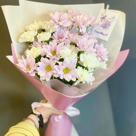 Хризантемы