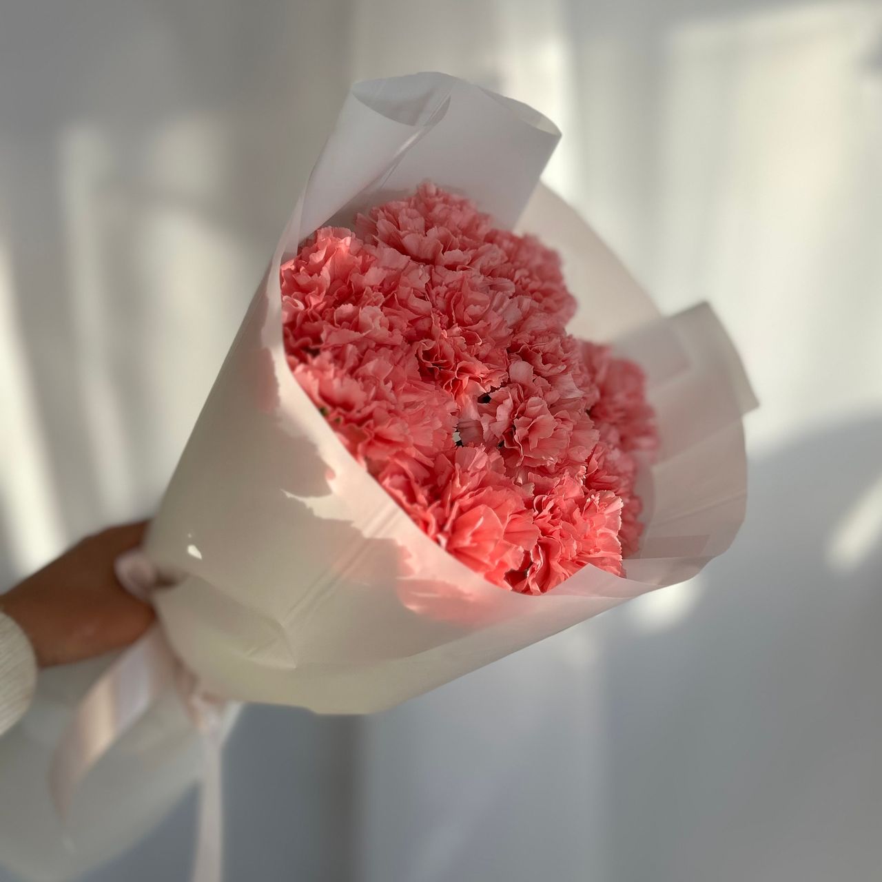 Нежные розовые диантусы х11