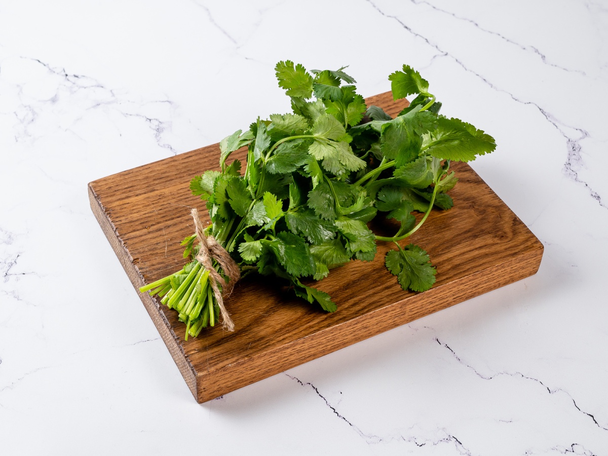 Кинза свежая